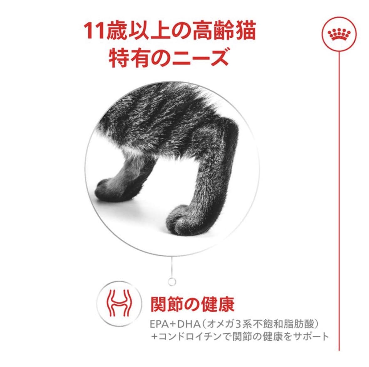  CANIN エイジング 11+ 2kg 3袋セット Amazon | ロイヤルカナンエイジング （11歳以上の猫専用フード 高齢期